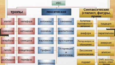 Photo of Лексические особенности современного языка