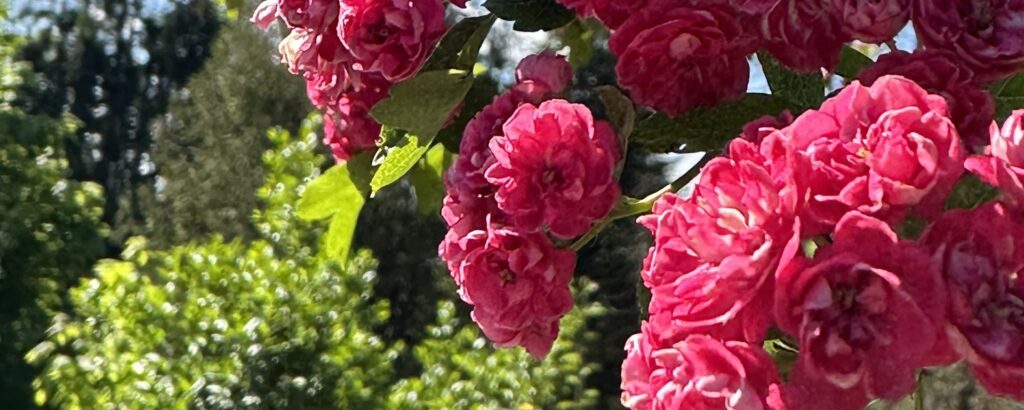 Слова и выражения для успешного общения