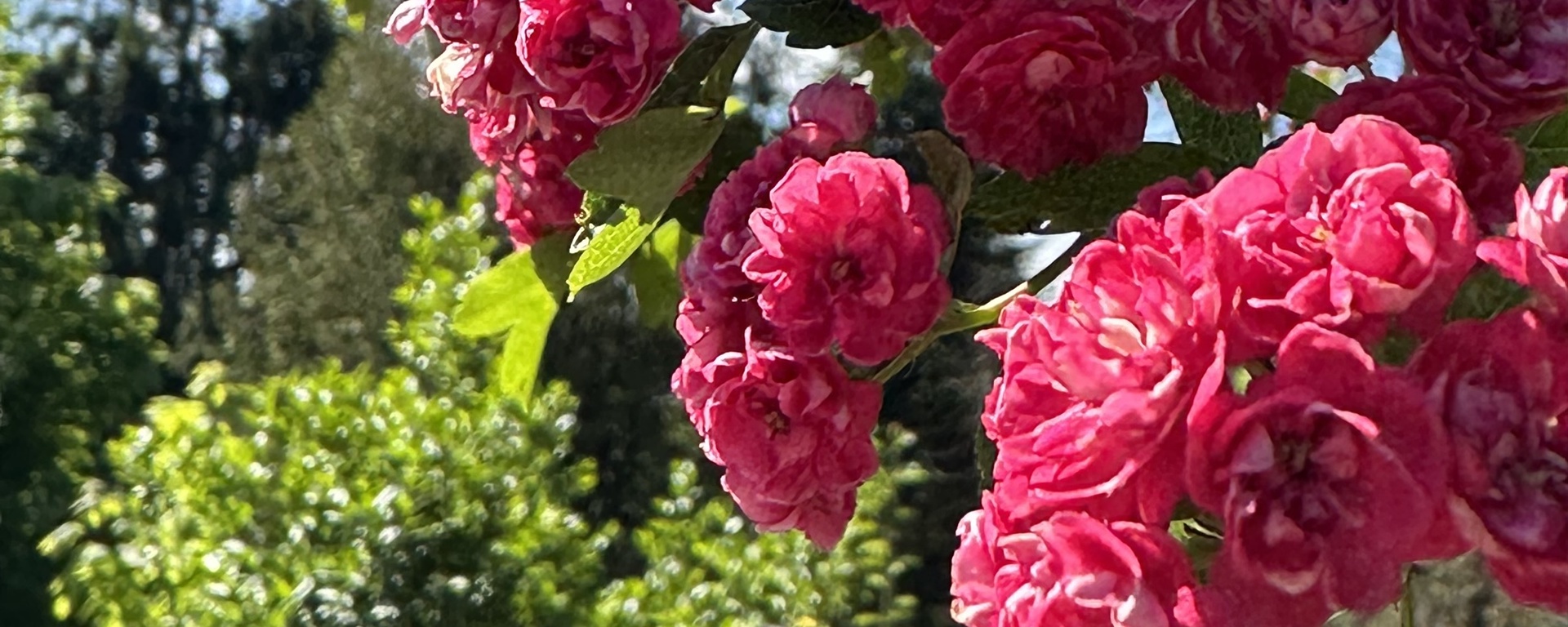 Фото 10 — Слова и выражения для успешного общения