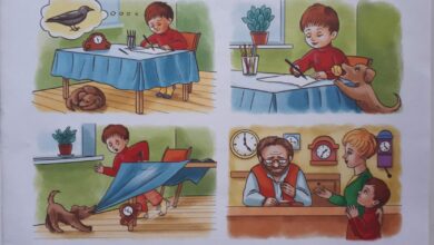 Photo of Грамматика и текст: как составить правильное предложение