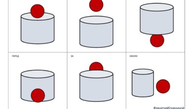 Photo of Грамматика: правила использования предлогов