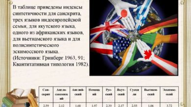 Photo of Лексические особенности различных языков