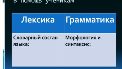 Photo of Грамматика и синтаксис: основные понятия